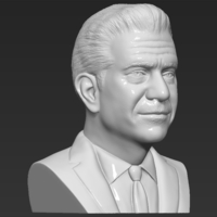 Mel Gibson bust 3D printing ready stl obj formats - Thumbnail 10