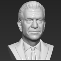 Mel Gibson bust 3D printing ready stl obj formats - Thumbnail 11