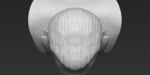 Image 309252