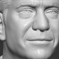 Mel Gibson bust 3D printing ready stl obj formats - Thumbnail 17