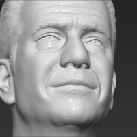 Mel Gibson bust 3D printing ready stl obj formats - Thumbnail 19