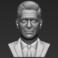 Small George Clooney bust 3D printing ready stl obj formats 3D Printing 309322