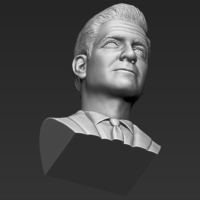 George Clooney bust 3D printing ready stl obj formats - Thumbnail 19