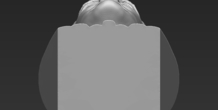 Image 309342