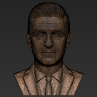 George Clooney bust 3D printing ready stl obj formats - Thumbnail 21