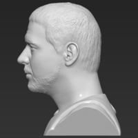 Gladiator Russell Crowe bust 3D printing ready stl obj formats - Thumbnail 4
