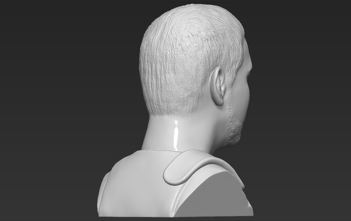 Gladiator Russell Crowe bust 3D printing ready stl obj formats 3D Print 309365
