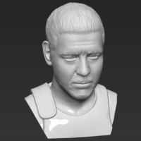 Gladiator Russell Crowe bust 3D printing ready stl obj formats - Thumbnail 11
