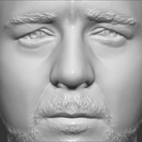 Gladiator Russell Crowe bust 3D printing ready stl obj formats - Thumbnail 15