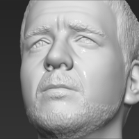 Gladiator Russell Crowe bust 3D printing ready stl obj formats - Thumbnail 17