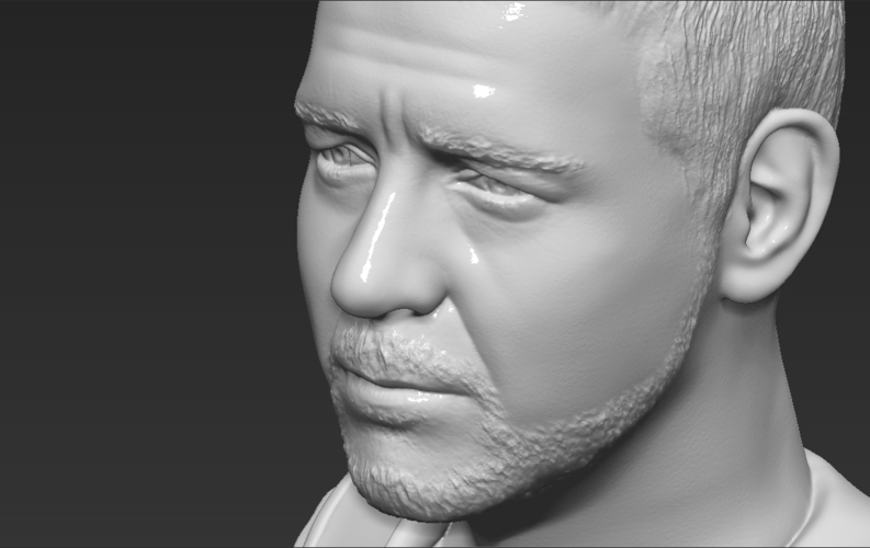 Gladiator Russell Crowe bust 3D printing ready stl obj formats 3D Print 309377