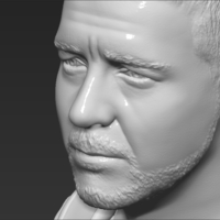 Gladiator Russell Crowe bust 3D printing ready stl obj formats - Thumbnail 19