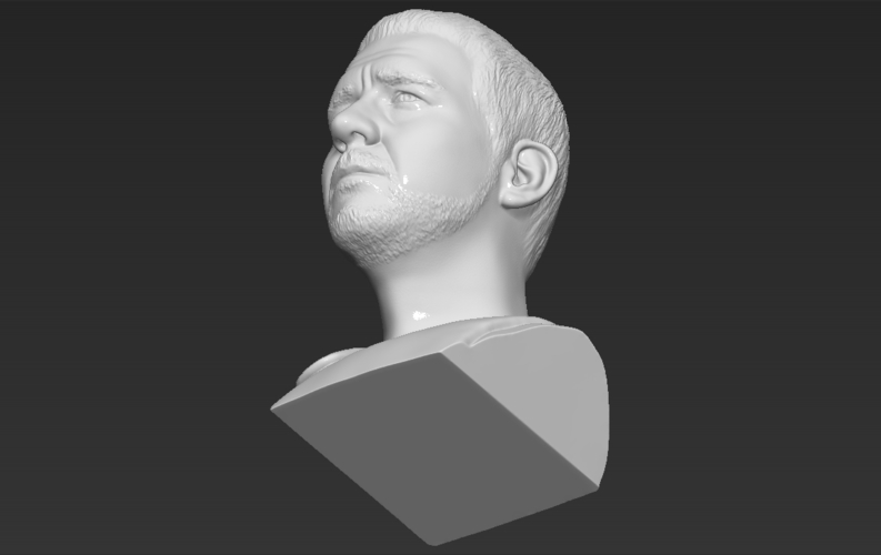Gladiator Russell Crowe bust 3D printing ready stl obj formats 3D Print 309380