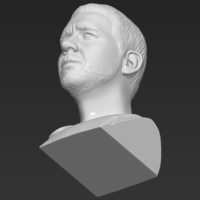 Gladiator Russell Crowe bust 3D printing ready stl obj formats - Thumbnail 22