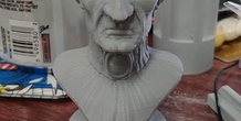 Image 309885