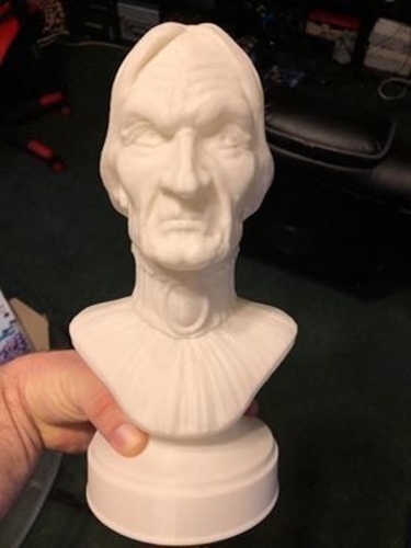 Haunted Mansion Aunt Lucretia 3D Printable Bust 3D Print 309888