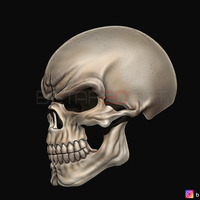 Ghost Rider mask -Danny Ketch - Marvel comics 3D print model - Thumbnail 6