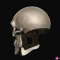 Ghost Rider mask -Danny Ketch - Marvel comics 3D print model - Thumbnail 8