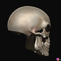 Ghost Rider mask -Danny Ketch - Marvel comics 3D print model - Thumbnail 10