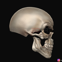 Ghost Rider mask -Danny Ketch - Marvel comics 3D print model - Thumbnail 11