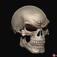 Ghost Rider mask -Danny Ketch - Marvel comics 3D print model - Thumbnail 12
