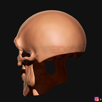 Ghost Rider mask -Danny Ketch - Marvel comics 3D print model - Thumbnail 16