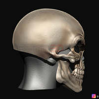 Ghost Rider mask -Danny Ketch - Marvel comics 3D print model - Thumbnail 20