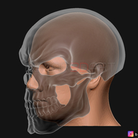 Ghost Rider mask -Danny Ketch - Marvel comics 3D print model - Thumbnail 22