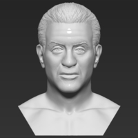 Small Sylvester Stallone Rocky Balboa bust 3D printing ready 3D Printing 311369