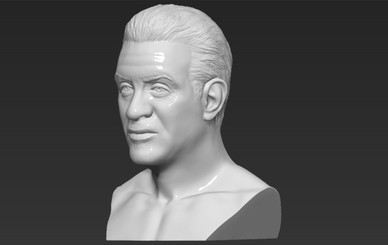 Sylvester Stallone Rocky Balboa bust 3D printing ready 3D Print 311376