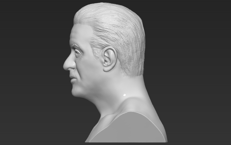 Sylvester Stallone Rocky Balboa bust 3D printing ready 3D Print 311377