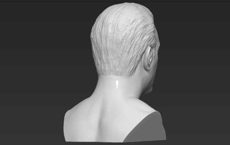Sylvester Stallone Rocky Balboa bust 3D printing ready 3D Print 311380