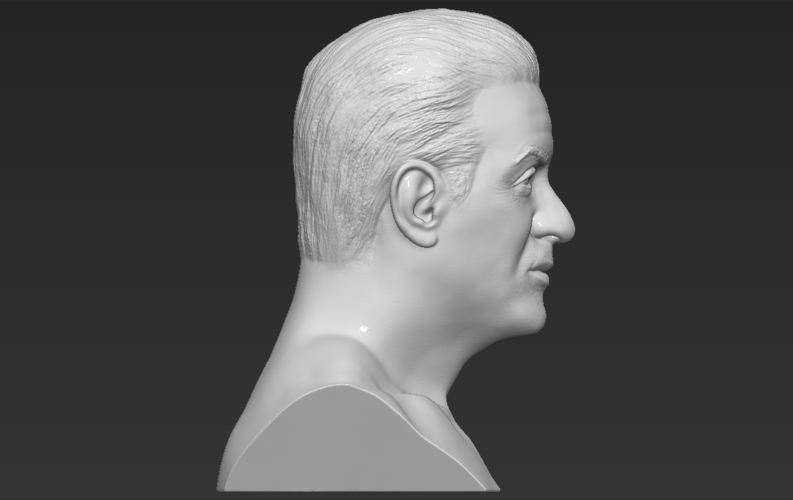Sylvester Stallone Rocky Balboa bust 3D printing ready 3D Print 311381