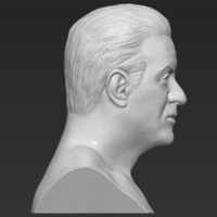 Sylvester Stallone Rocky Balboa bust 3D printing ready - Thumbnail 8