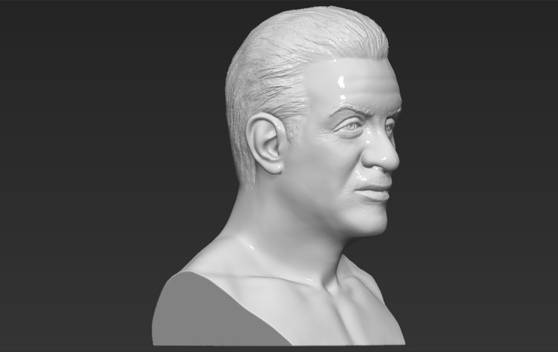 Sylvester Stallone Rocky Balboa bust 3D printing ready 3D Print 311382