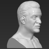 Sylvester Stallone Rocky Balboa bust 3D printing ready - Thumbnail 9