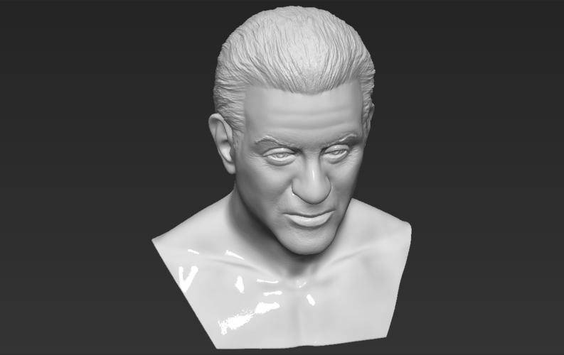 Sylvester Stallone Rocky Balboa bust 3D printing ready 3D Print 311385