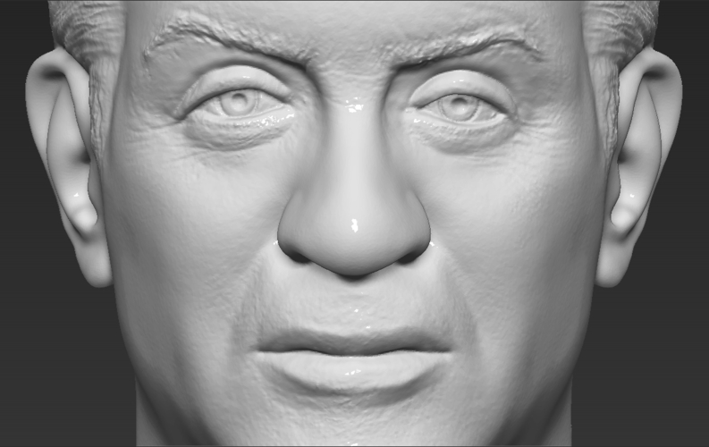 Sylvester Stallone Rocky Balboa bust 3D printing ready 3D Print 311388