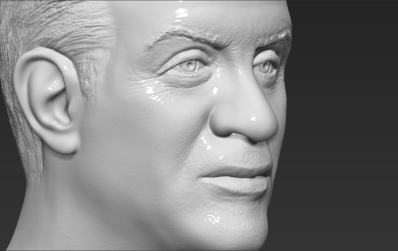 Sylvester Stallone Rocky Balboa bust 3D printing ready 3D Print 311389