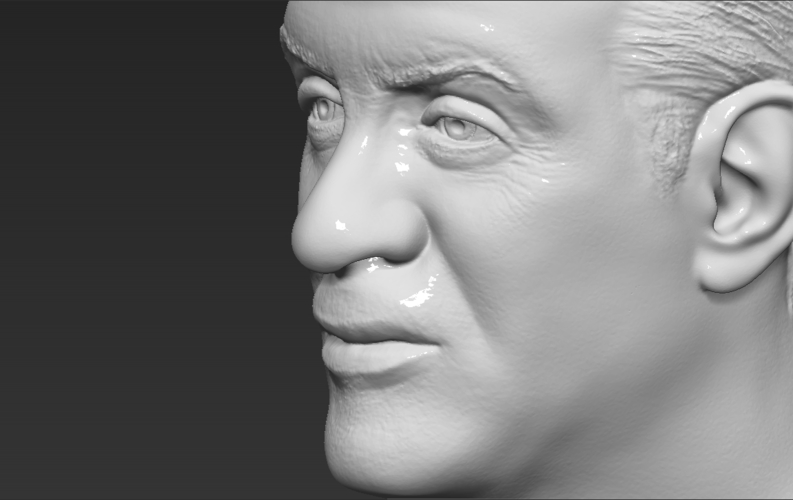 Sylvester Stallone Rocky Balboa bust 3D printing ready 3D Print 311390