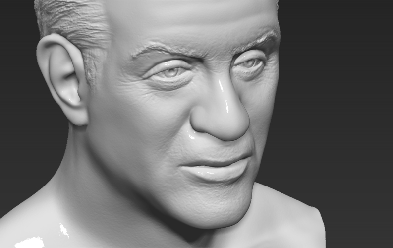 Sylvester Stallone Rocky Balboa bust 3D printing ready 3D Print 311392