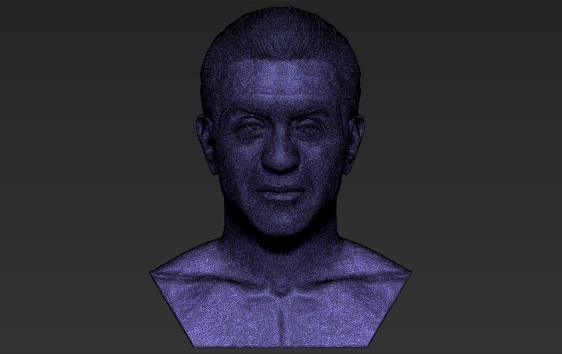 Sylvester Stallone Rocky Balboa bust 3D printing ready 3D Print 311396
