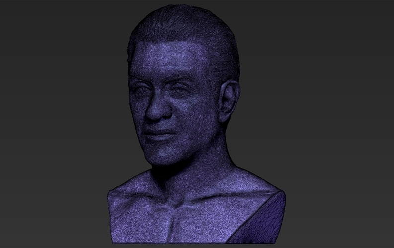 Sylvester Stallone Rocky Balboa bust 3D printing ready 3D Print 311397