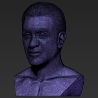 Sylvester Stallone Rocky Balboa bust 3D printing ready - Thumbnail 24