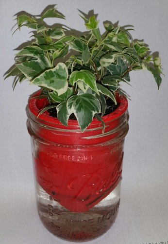 Mason Jar Self-Watering Planter 3D Print 31228