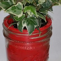 Small Mason Jar Planter 3D Printing 31233