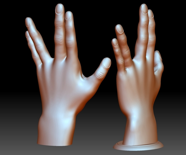3D Printed Vulcan salute Star Trek hand gesture 3D printable by