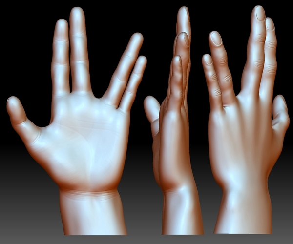 3D Printed Vulcan Salute Star Trek Hand Gesture 3D Printable By 3d-printed-vulcan-salute-star-trek-hand-gesture-3d-printable-by