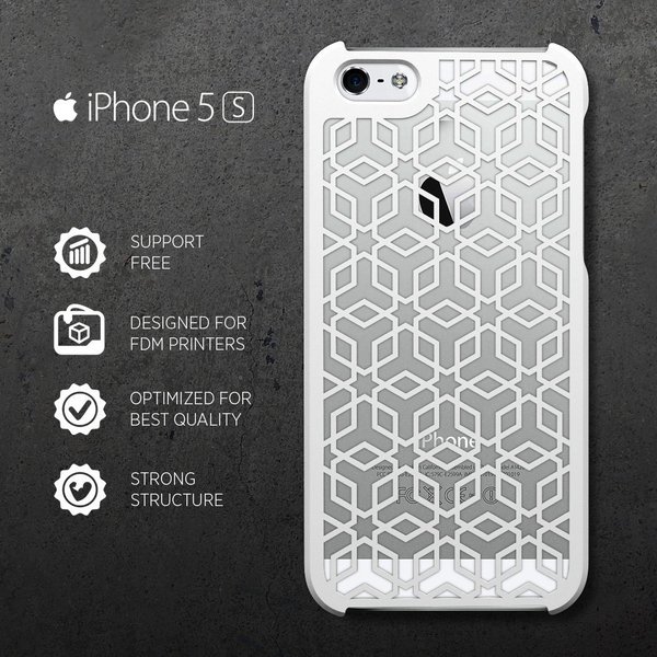 iPHONE 5/S CASE (3)