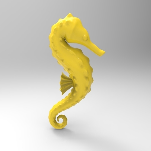 cavalluccio marino 3D Print 314210